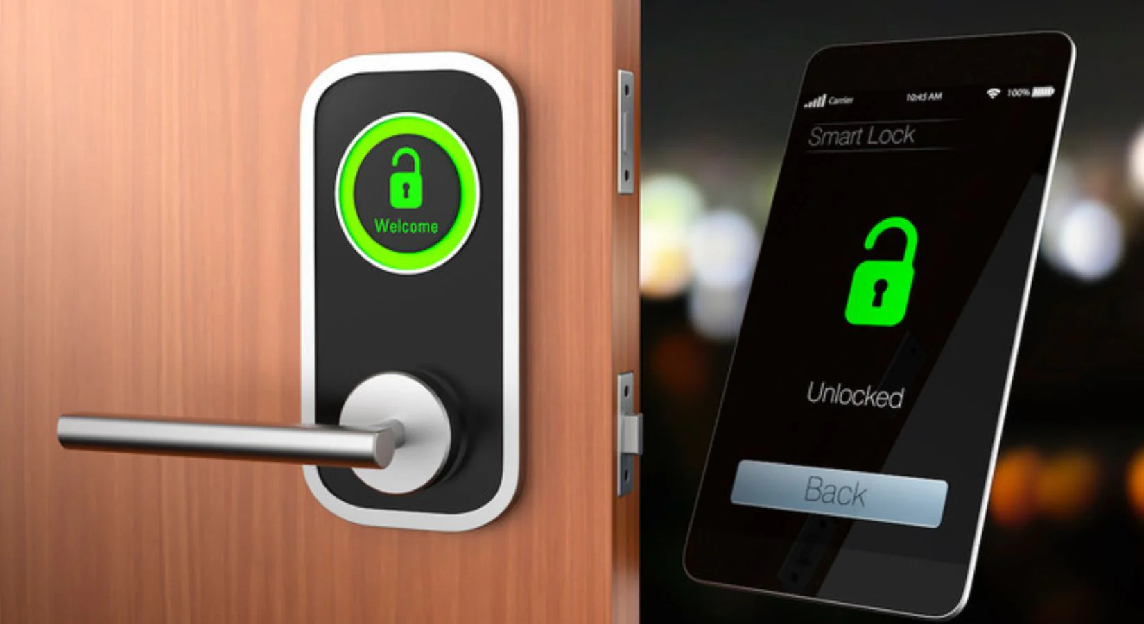 Your Definitive Guide to Biometric Smart Lock Reviews